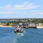 Chappaquiddick MA Pest Control A1 Exterminators
