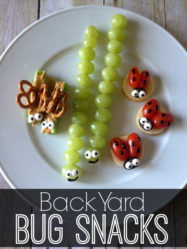 A1Exterminators Back Yard Bug Snacks 1 A1Exterminators Back Yard Bug Snacks