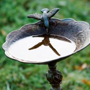 A1Exterminators Mosquitos Bird bath 818149XSmall