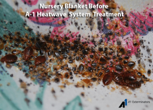 Nusury blanket before A1 Heatwave System Treatment