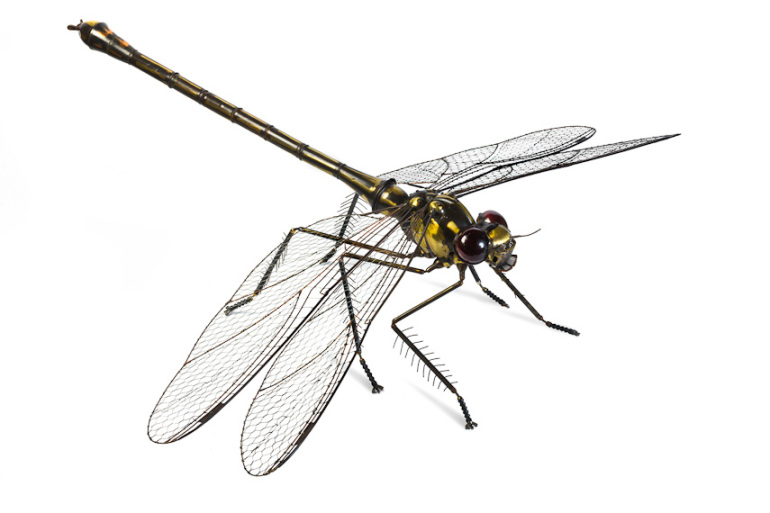 A1Exterminators Metal Insect Sculptures Designed by Edouard Martinet 7 4-dragon-fly3