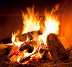 A1Exterminators Keep Wood Away From House 1 fire