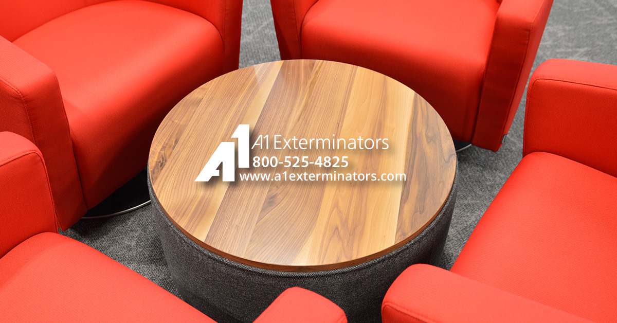 A1Exterminators Sanitizing FB Blog 0003