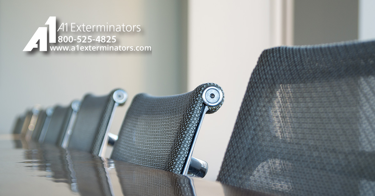 A1Exterminators Sanitizing FB Blog 0005 1