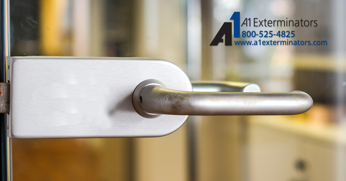 A1Exterminators Sanitizing FB Blog 0007