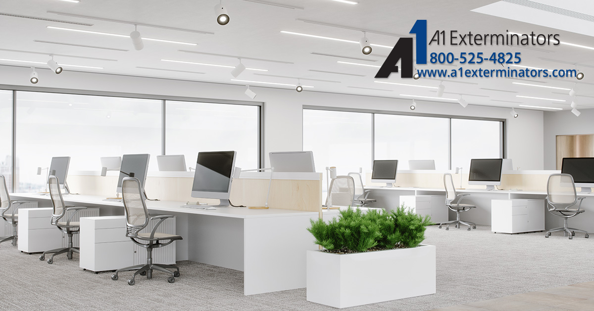 A1Exterminators Sanitizing FB Blog 0012