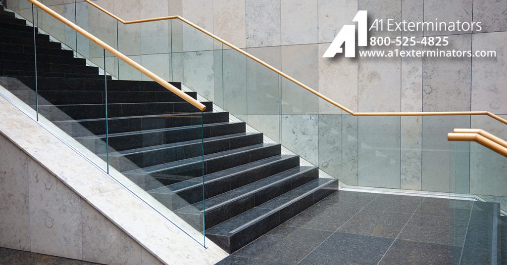 A1Exterminators Sanitizing FB Blog 0013