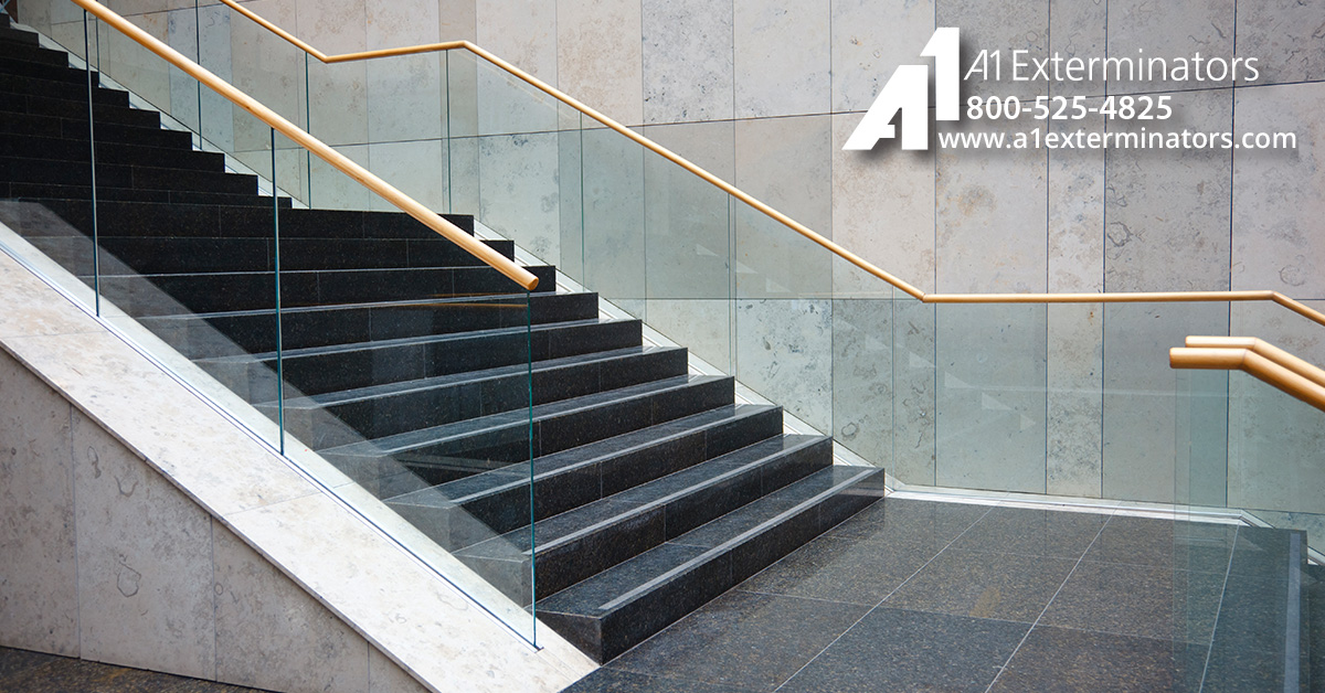 A1Exterminators Sanitizing FB Blog 0013