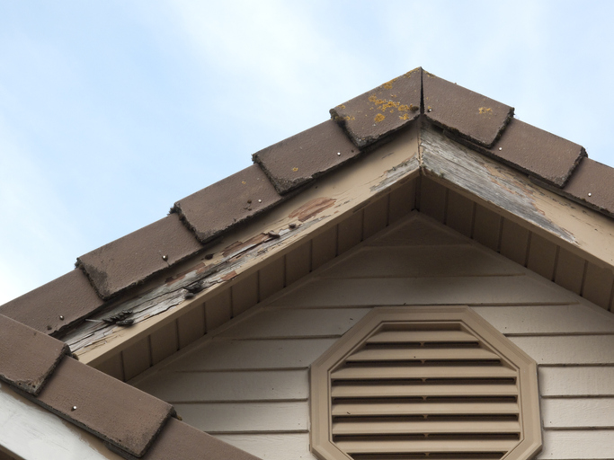 A1Exterminators iStock 174950160