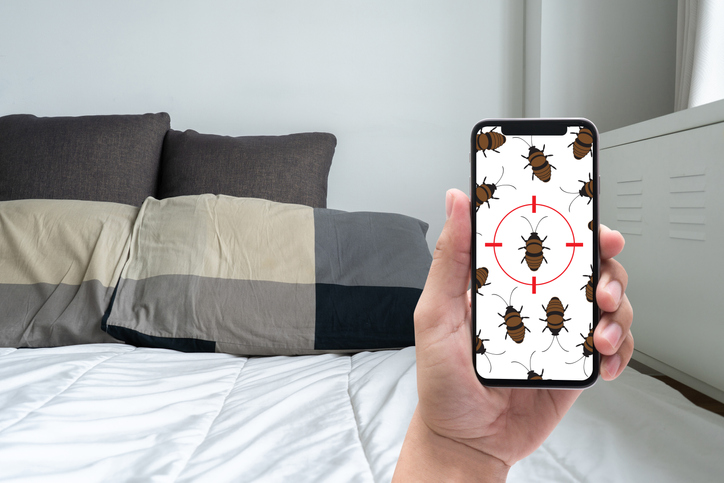 A1Exterminators iStock 959406736