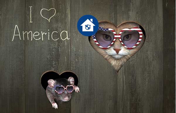 A1Exterminators Capture a1 4th