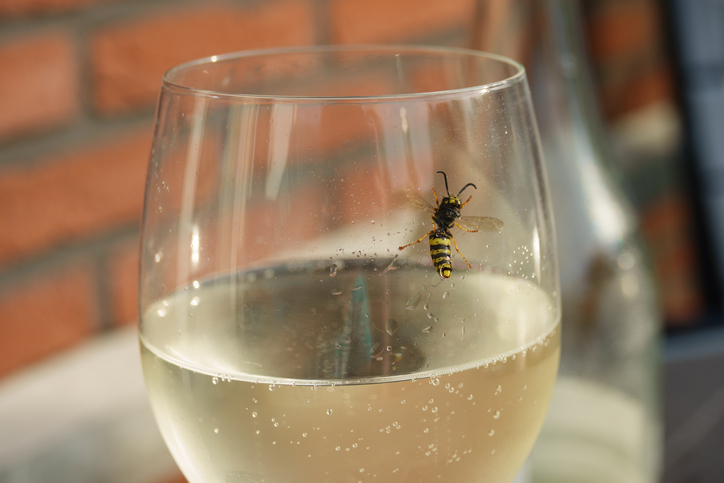 A1Exterminators iStock 1173174150