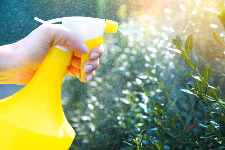 A1Exterminators iStock 1216839541