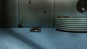 A1Exterminators iStock 960008348