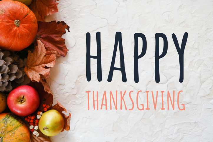 A1Exterminators iStock 1270786605