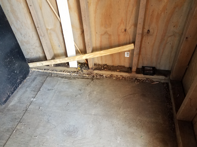 A1Exterminators iStock 1187445083