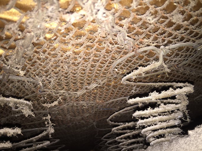 A1Exterminators iStock 1222376057