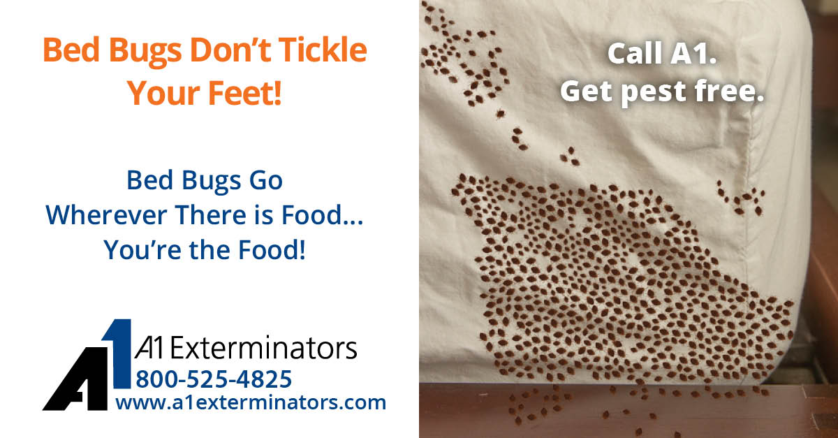 A1Exterminators 122021 A1 LinkedIn 01