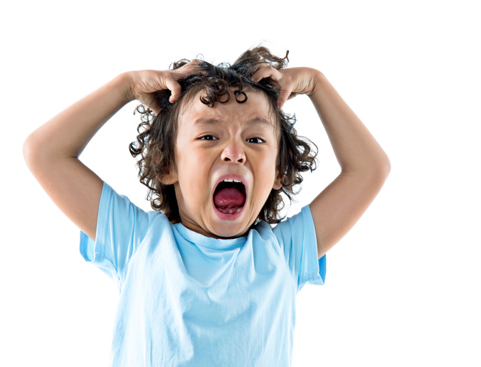 A1Exterminators Bedbugs Kid