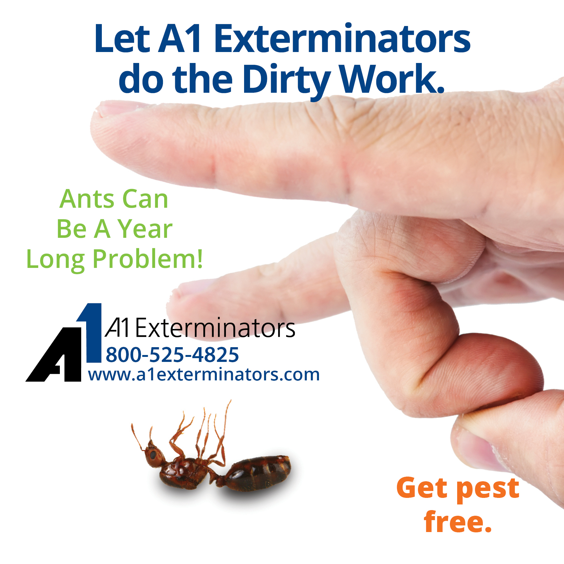 Hand about to flick ant. "Let A1 do the dirty work. Ants can be a year long problem! Get pest free." [A1 Logo]