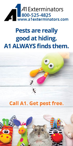 A1Exterminators 112021 02 google ads 7