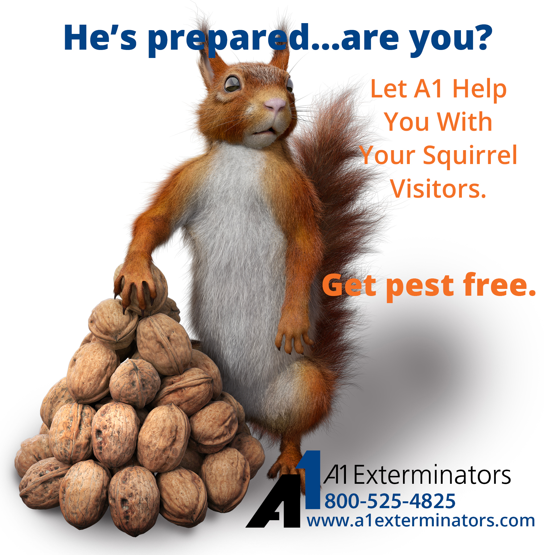 CGI-rendered squirrel boasting impressive stash of acorns. "He's prepared... are you? Let A1 help you with your squirrel visitors." [A1 Logo]