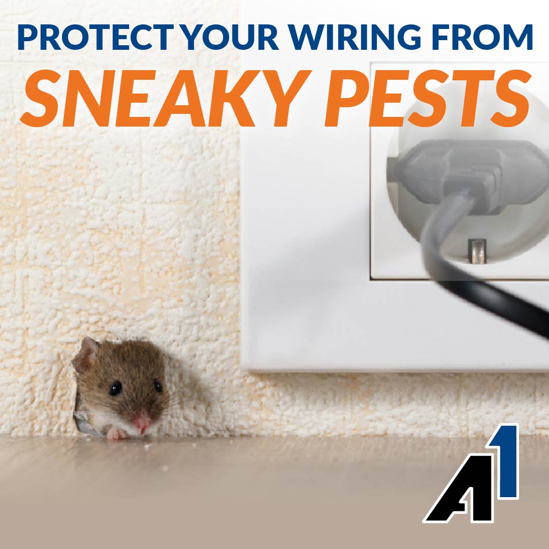 Mouse poking head through hole in the wall next to plugged-in power outlet. "Protect your wiring from sneaky pests" [A1 Logo]