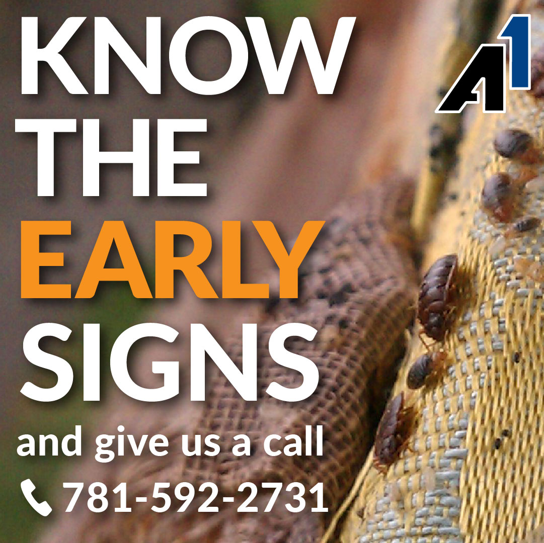 Bed bugs crawling on fabric. "Know the early signs and give us a call 781-592-2731" [A1 Logo]