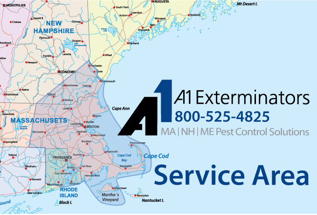 A1 Exterminators Service Area