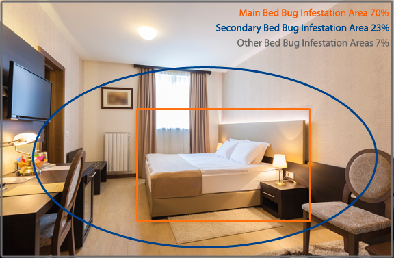 Beg Bug Infestation Area Breakdown. Photo of hotel room. Main Bed Bug Infestation Area 70%: bed, side table. Secondary Bed Bug Infestation Area 23%, much of the room including chair, table. Other Bed Bug Infestation Area 7%: remaining room & walls.