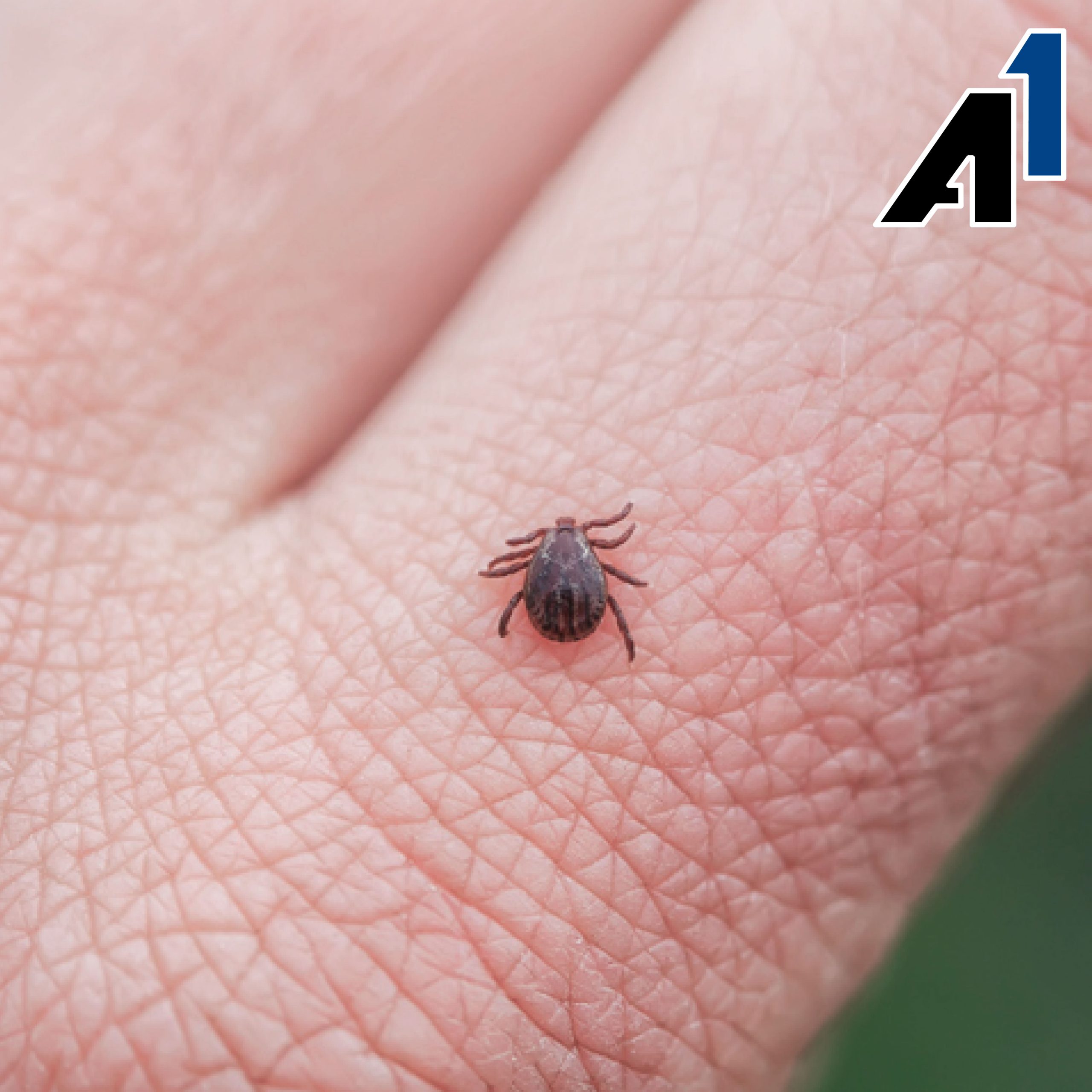 A1Exterminators 070122 protect from ticks 1080x1080 1 scaled