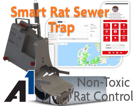 smart-sewer-rat-trap A1Exterminators smart sewer rat trap