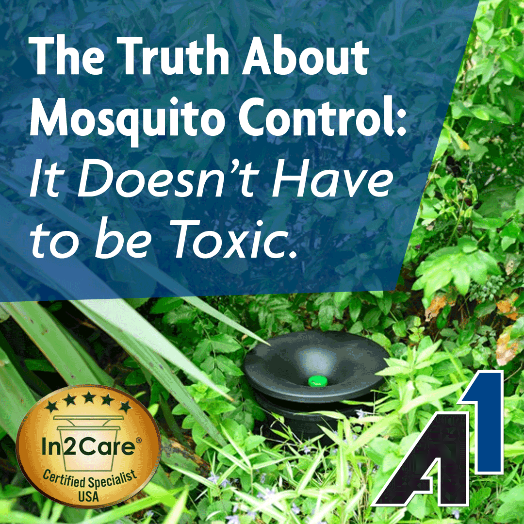 The Truth About Mosquito Control: It Doesn't Have to Be Toxic