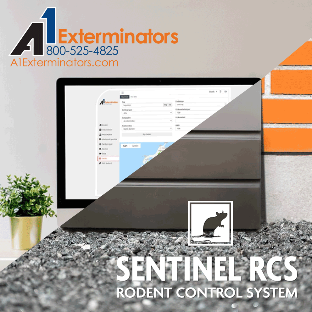 Sentinel Rodent Control System: Poison-Free, Trap-Free Rodent Control.