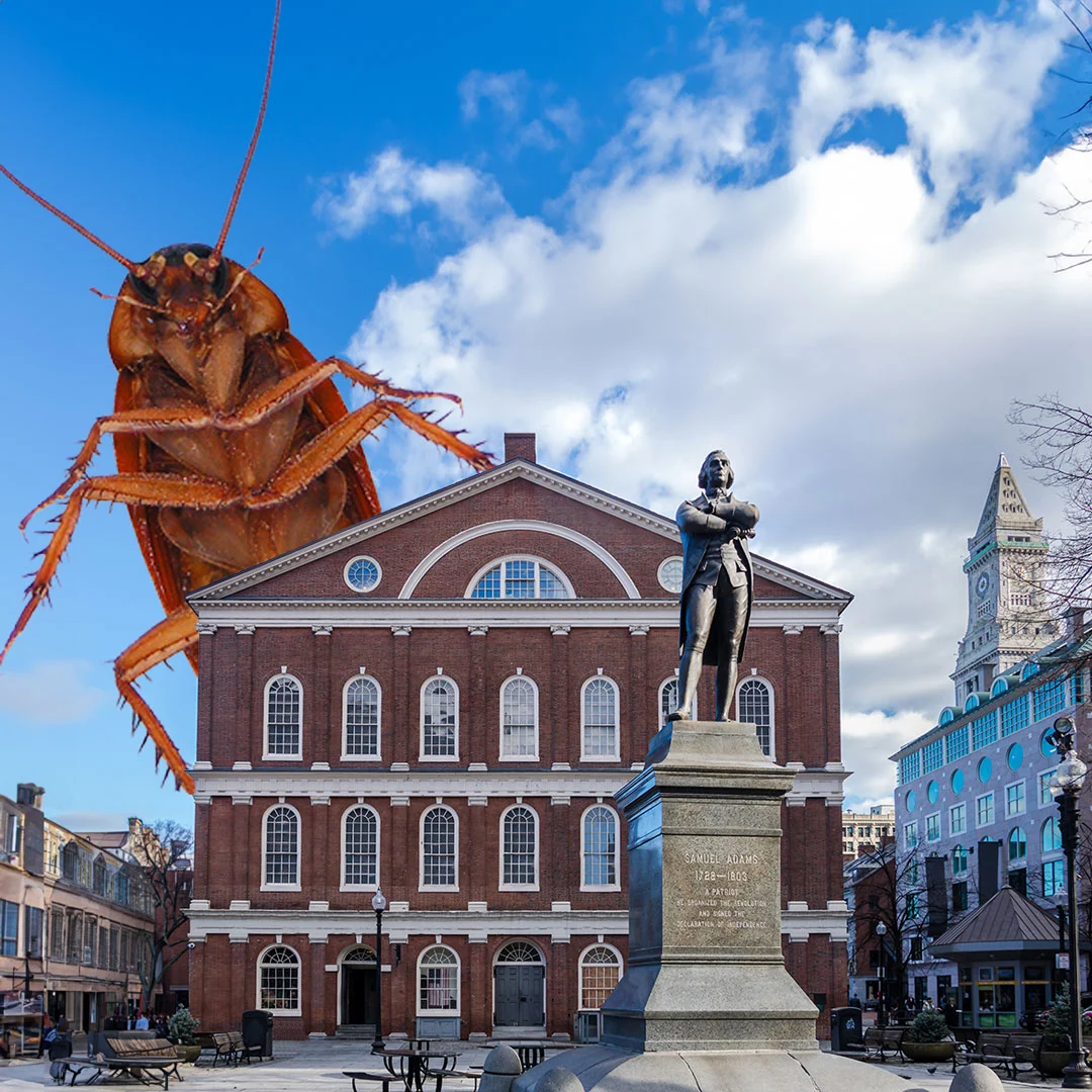 A1Exterminators A1 Exterminators: Boston, You’re Our Home! 3 Giant cockroach over Faneuil Hall/Quincy Market by A1 Exterminators Boston