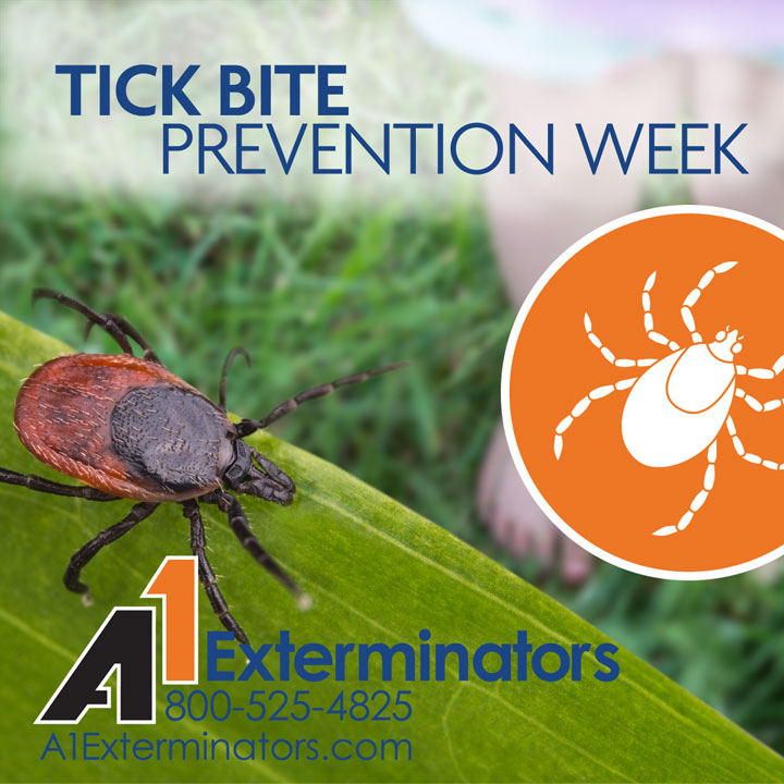 A1Exterminators 720x720 PARTVII TickBitePrevention