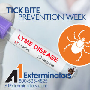 720x720-tickbiteprevention-lyme A1Exterminators 720x720 tickbiteprevention lyme
