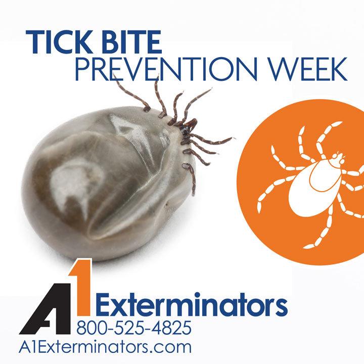 A1Exterminators 720x720TickBitePrevention partIV